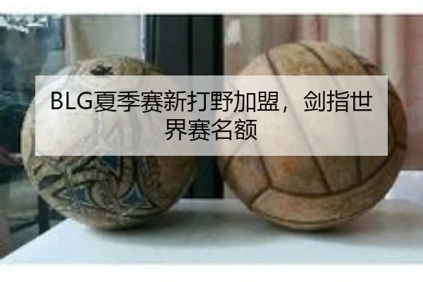 BLG夏季赛新打野加盟，剑指世界赛名额