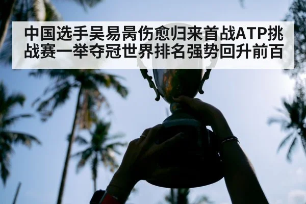 中国选手吴易昺伤愈归来首战ATP挑战赛一举夺冠世界排名强势回升前百
